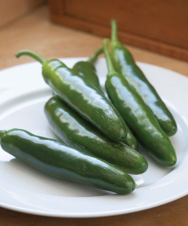 Santo Domingo - (F1) Serrano Pepper Seed