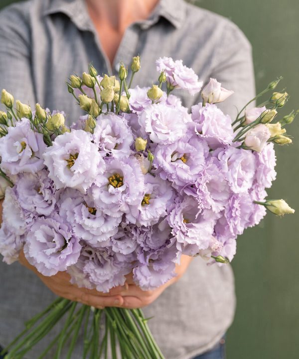 Voyage 2 Lavender - (F1) Lisianthus