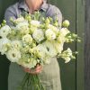 Voyage 2 Green II - (F1) Lisianthus