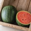 Natsu Cocoa - (F1) Watermelon Seed