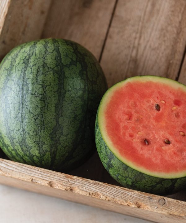 Natsu Cocoa - (F1) Watermelon Seed