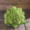 Puntoverde AKA 26-701 - Cauliflower Seed