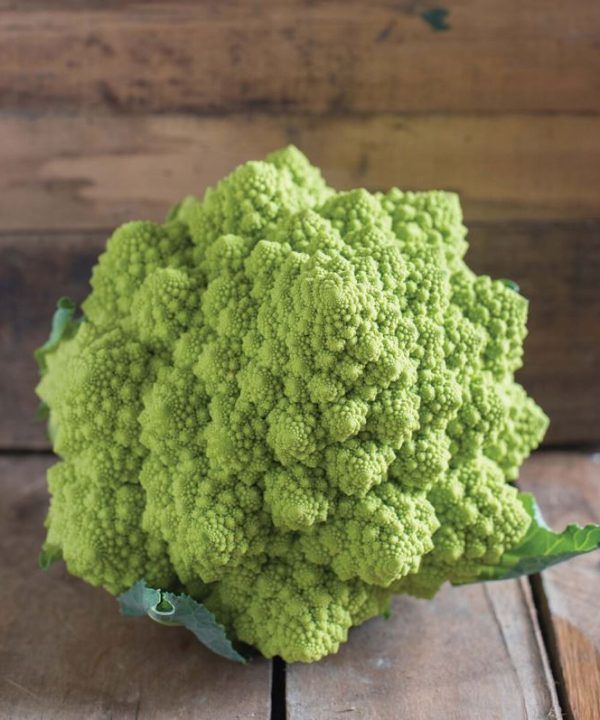 Puntoverde AKA 26-701 - Cauliflower Seed