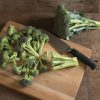 Monflor - (F1) One-Cut Broccoli Seeds