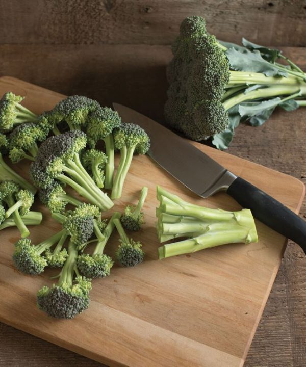 Monflor - (F1) One-Cut Broccoli Seeds
