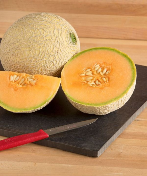Sugar Cube - (F1) Melon Seed