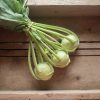 Konan - Organic (F1) Kohlrabi Seed