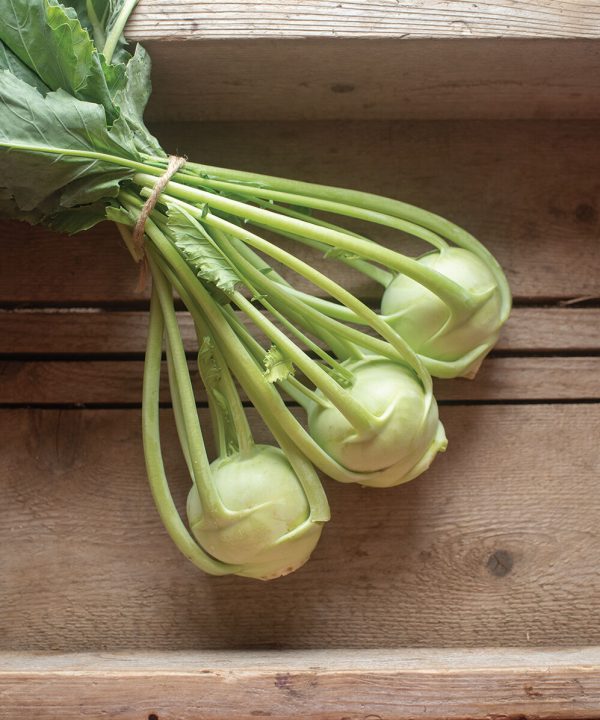 Konan - Organic (F1) Kohlrabi Seed