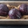 Buscaro - Organic (F1) Cabbage Seed
