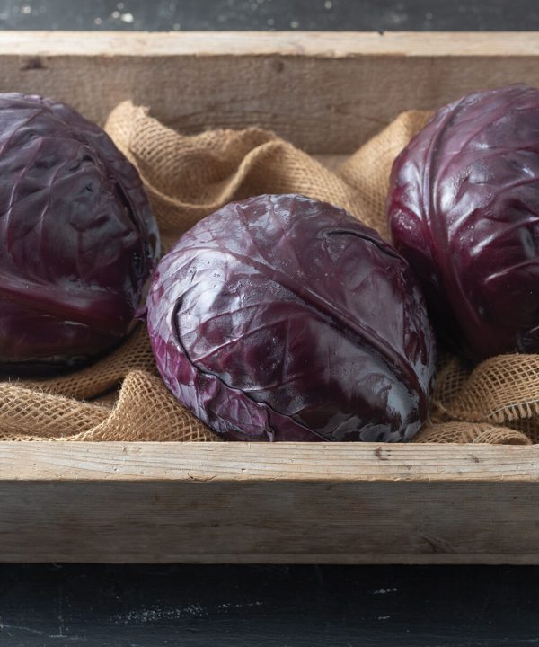Buscaro - Organic (F1) Cabbage Seed