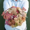 Summer? Pastels - Yarrow Seed