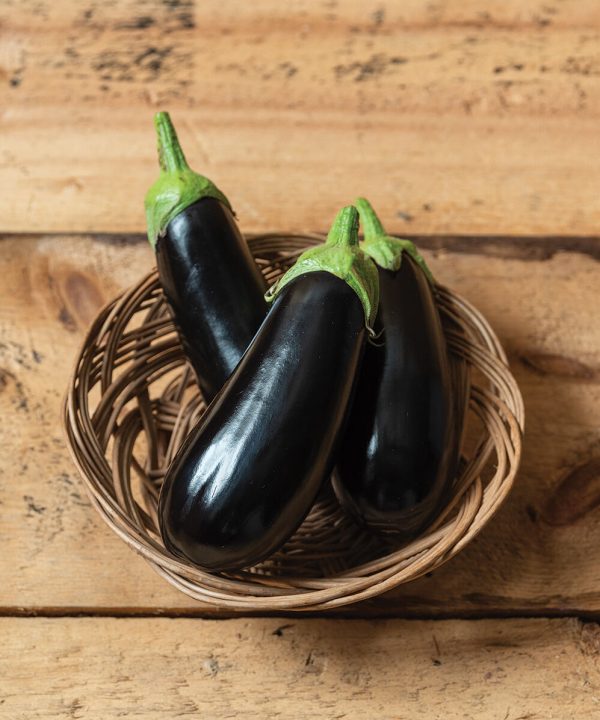 Nigral - (F1) Eggplant Seed