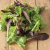 Starstruck Lettuce Mix - Vegetable Seed