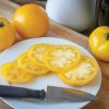 Lemon Boy Plus - (F1) Tomato Seed
