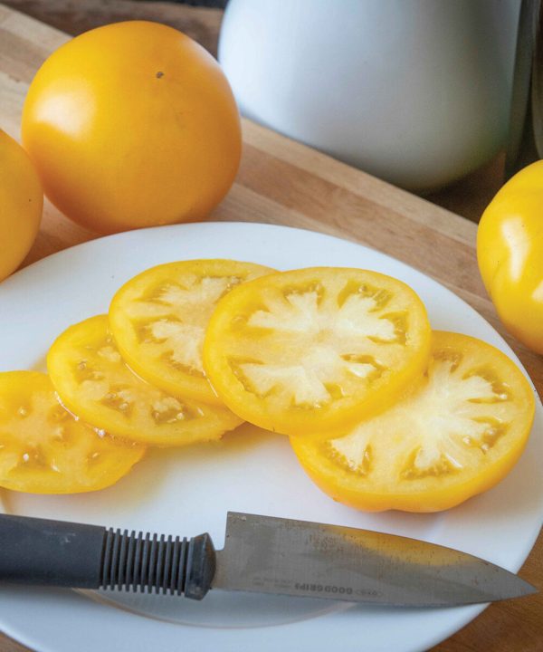 Lemon Boy Plus - (F1) Tomato Seed