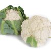 Paxton - (F1) Cauliflower Seed