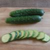 General Lee - Treated (F1) Cucumber Seed