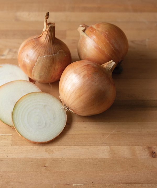 Elsye - Organic (F1) Onion Seed