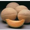 Athena - (F1) Melon Seed