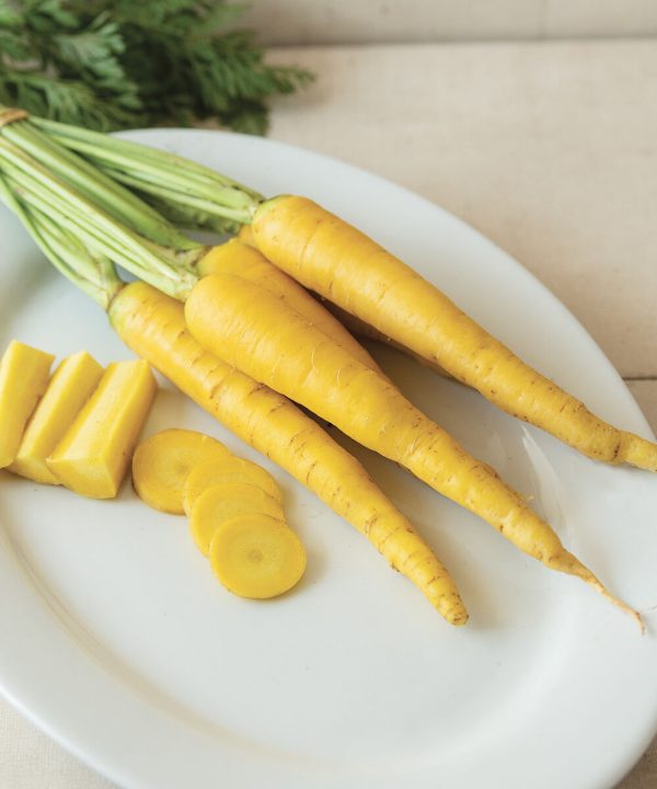 Yellow Moon - (F1) Carrot Seed