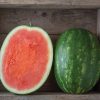 Red Amber - Organic Seedless Watermelon Seeds