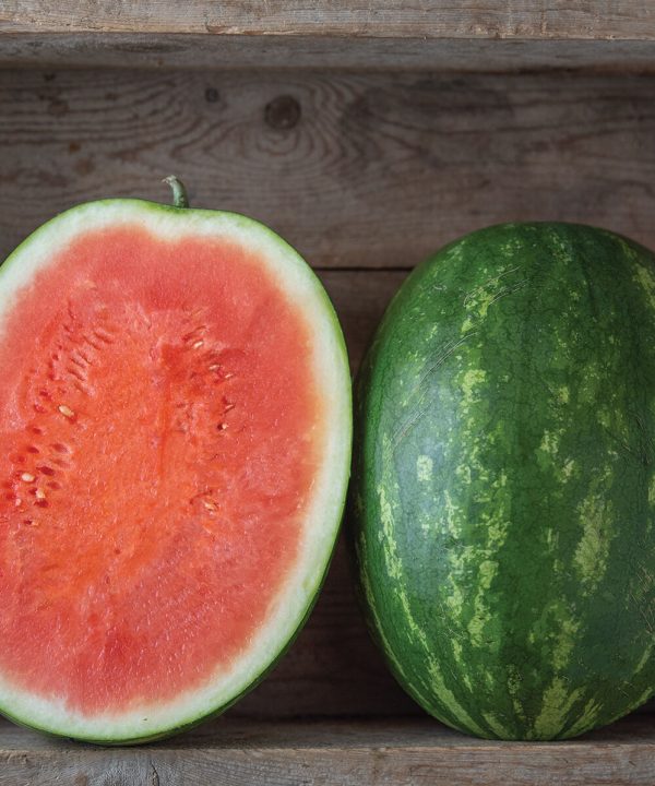 Red Amber - Organic Seedless Watermelon Seeds