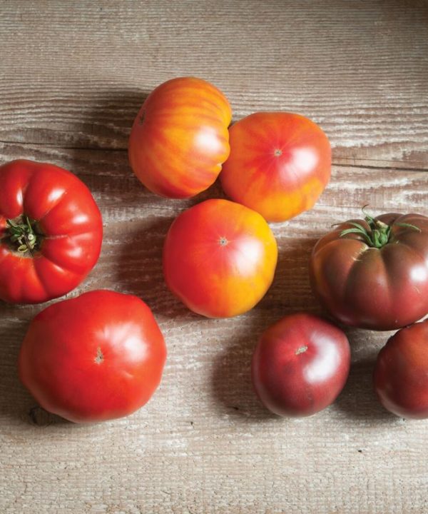 French Heritage Collection - Tomato Seed