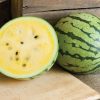Sunshine - (F1) Watermelon Seed