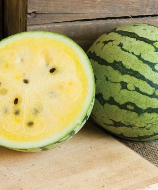 Sunshine - (F1) Watermelon Seed