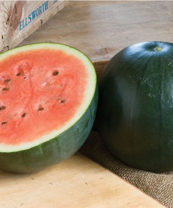 Sugar Baby - Watermelon Seed