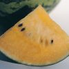 New Orchid - (F1) Watermelon Seed