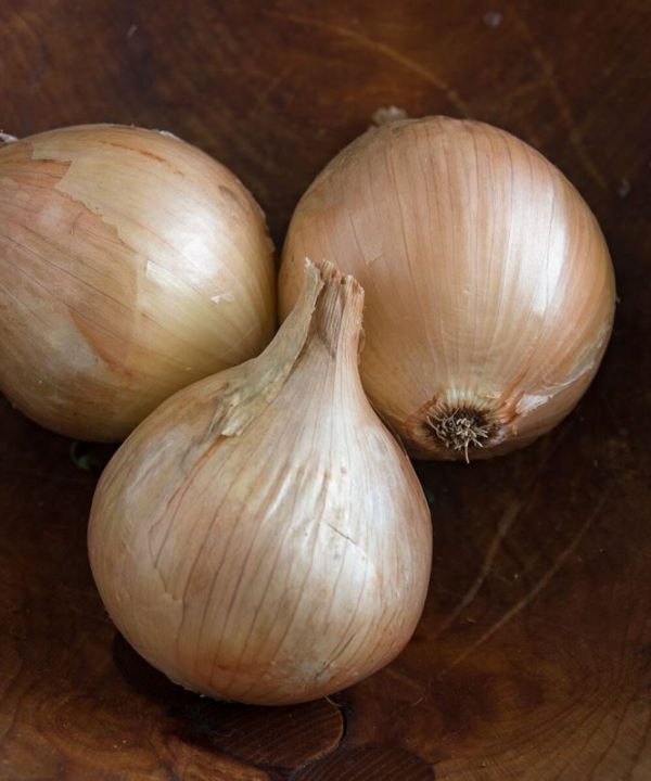Ailsa Craig - Organic Onion Seed