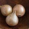 Ailsa Craig - Onion Seed