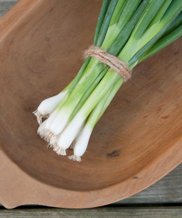 Evergreen Hardy White - Onion Seed