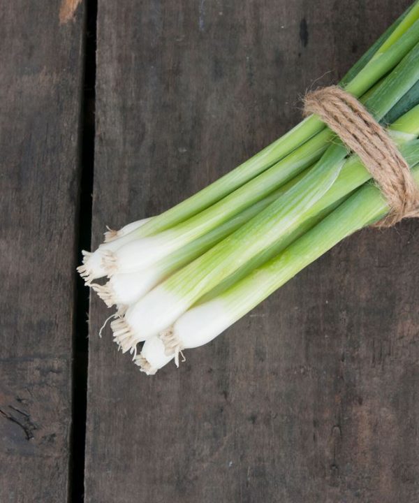 White Spear - Onion Seed