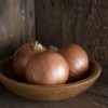 New York Early - Onion Seed