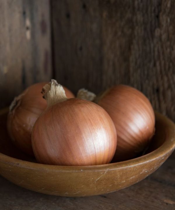 New York Early - Onion Seed