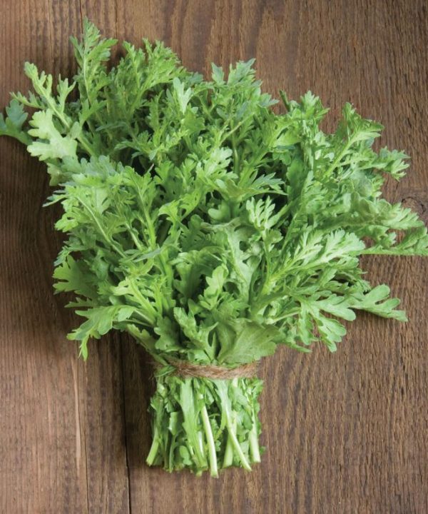 Shungiku Seeds (Edible Chrysanthemum)