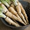 Mammoth Sandwich Island - Salsify Seed