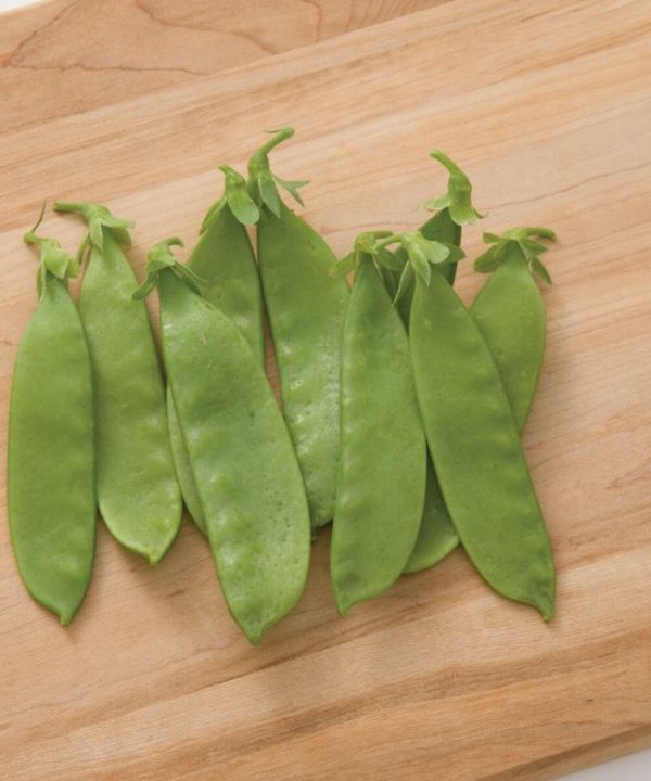 Oregon Giant - Pea Seed