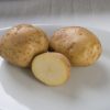 Kennebec - Organic Seed Potatoes