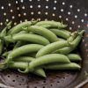 Sugar Snap - Pea Seed