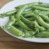 Sugar Ann - Organic Pea Seed