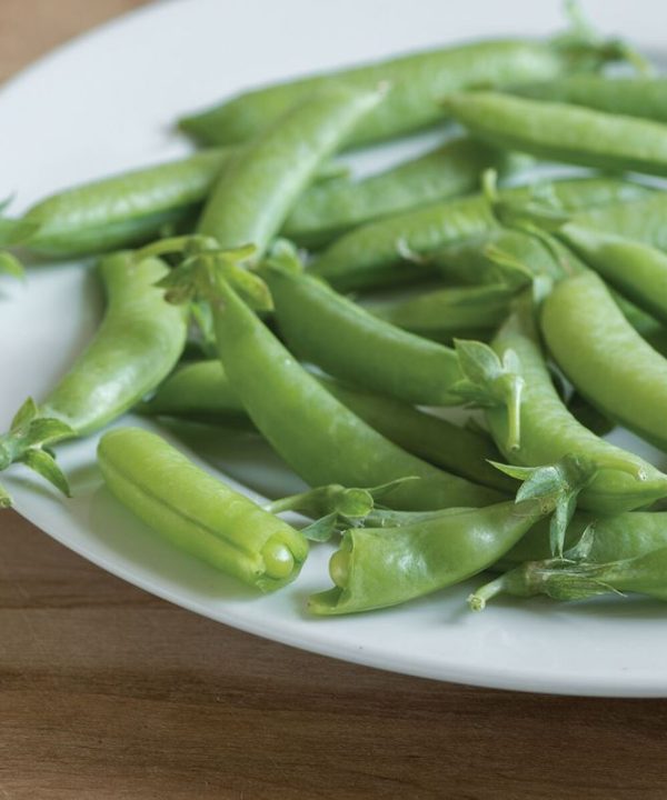 Sugar Ann - Organic Pea Seed
