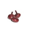 Red Marble - Onion Seed