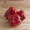Yankee Bell - Organic Bell Pepper Seed