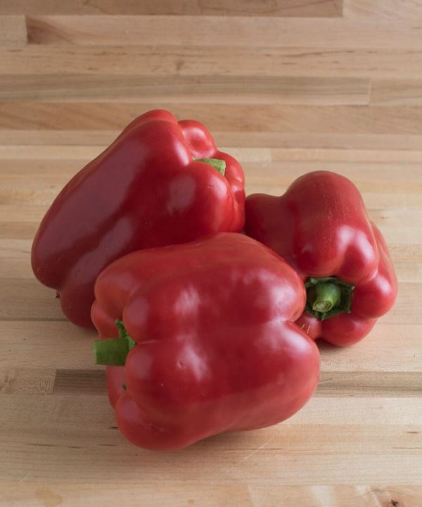 Yankee Bell - Organic Bell Pepper Seed