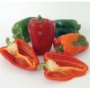 Ace - (F1) Bell Pepper Seed