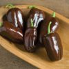Sweet Chocolate - Organic Bell Pepper Seed