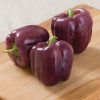 Islander - (F1) Purple Bell Pepper Seed